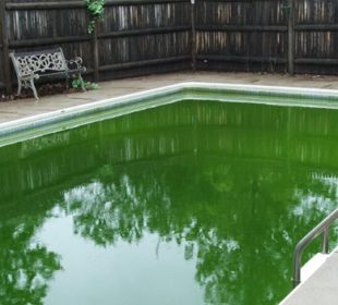 How to Clean a Green Swimming Pool - A Complete Guide